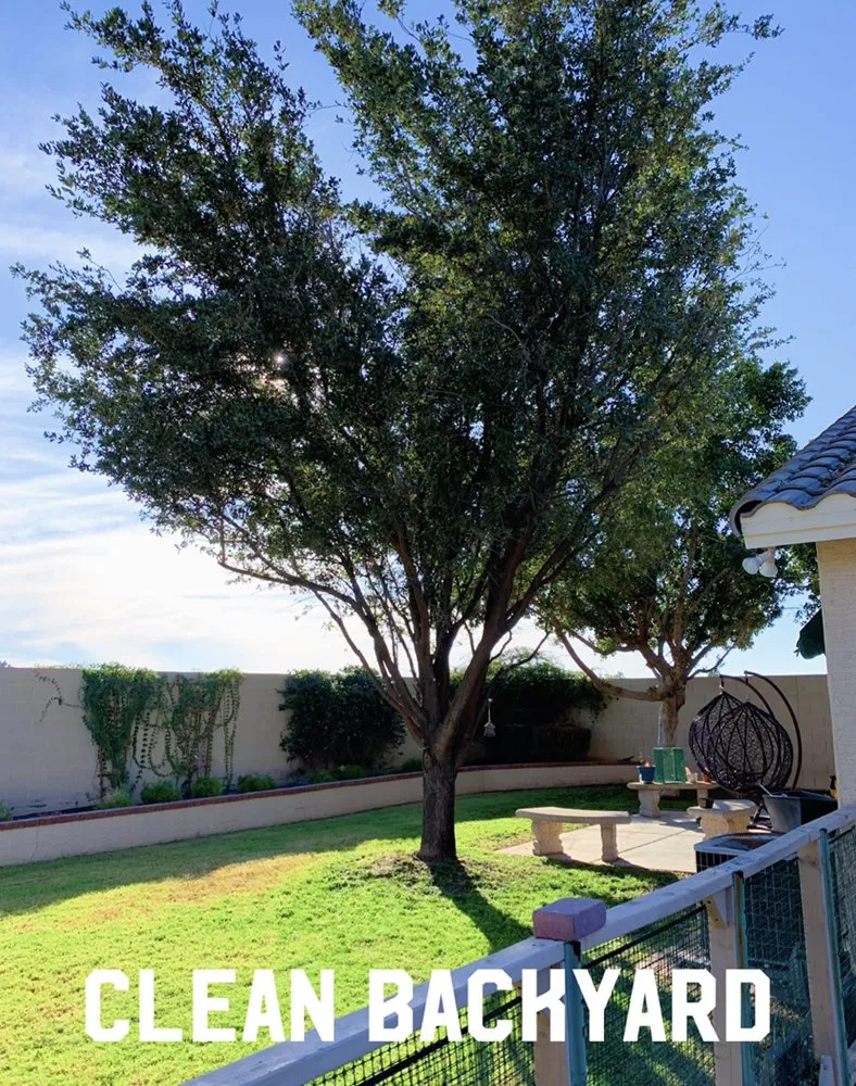 Reliable yard maintenance experts serving Phoenix, AZ - Velasco Landscaping