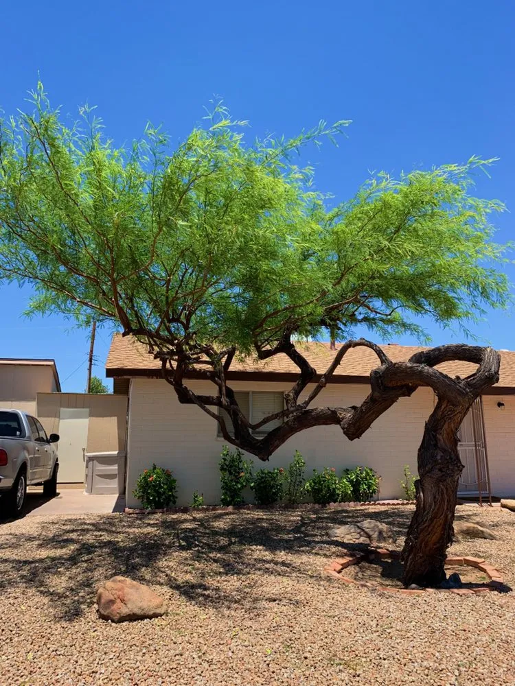 Local outdoor landscaping in Phoenix, AZ - Velasco Landscaping