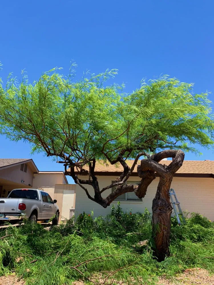 Local outdoor landscaping in Phoenix, AZ - Velasco Landscaping