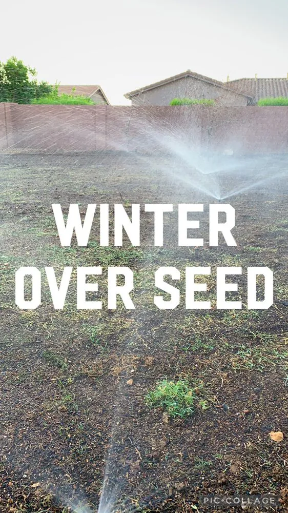 Top-rated garden landscaping experts serving Phoenix, AZ - Velasco Landscaping