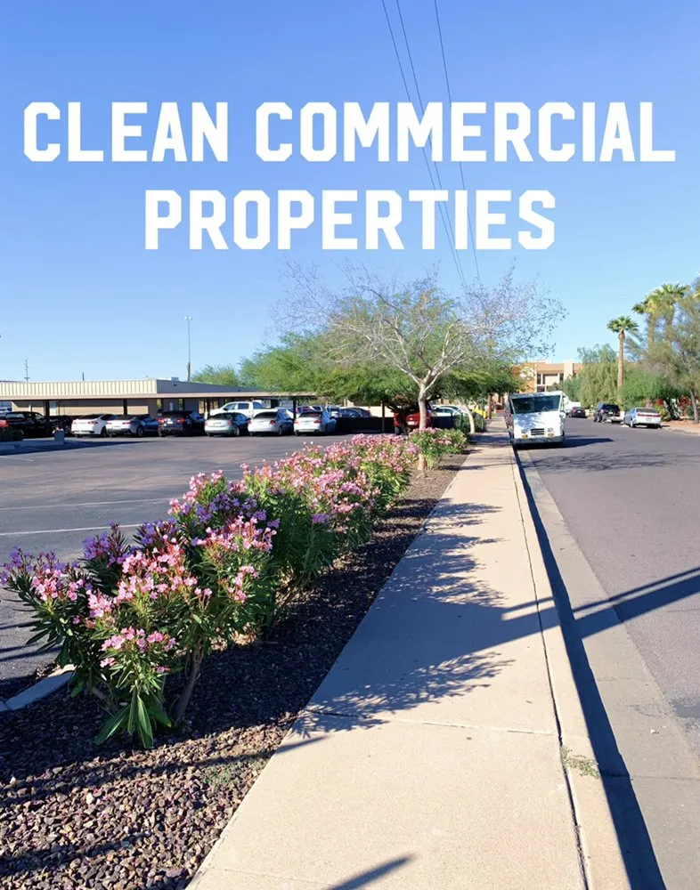 Professional landscaping services experts serving Phoenix, AZ - Velasco Landscaping