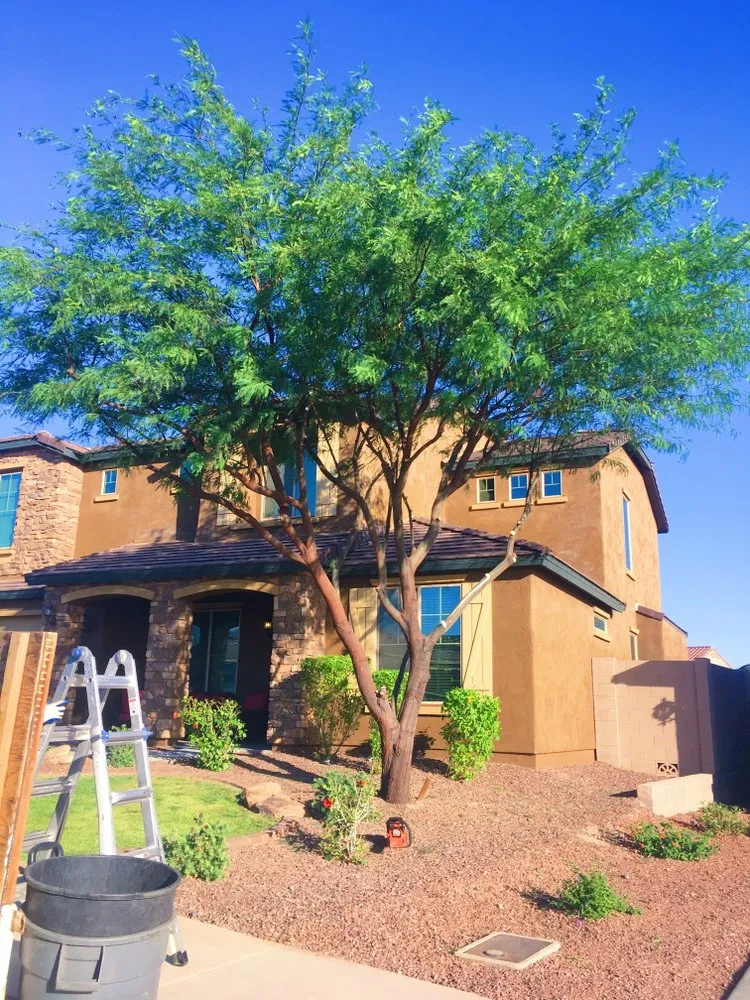 Trusted yard maintenance for homes in Phoenix, AZ by Velasco Landscaping