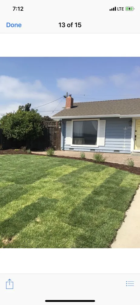 Local landscaping services for year-round maintenance in Salinas, CA by Velasco Landscaping