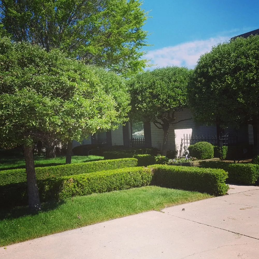 Expert yard cleanup service in Taylorsville, UT by Velasco Lawn Care and Maintenance