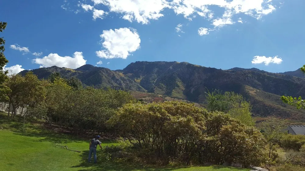 Local landscape installation in Taylorsville, UT - Velasco Lawn Care and Maintenance