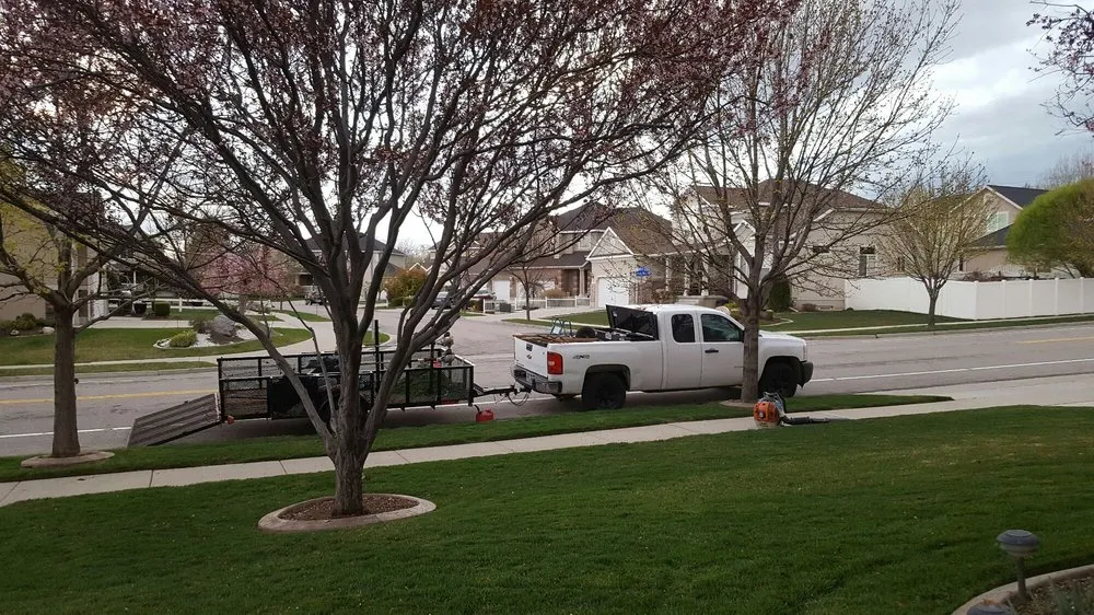 Custom landscape installation for beautiful yards across Taylorsville, UT - Velasco Lawn Care and Maintenance
