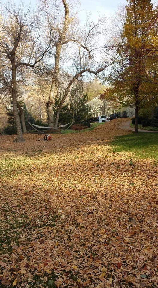 Trusted landscape installation for beautiful yards in Taylorsville, UT by Velasco Lawn Care and Maintenance