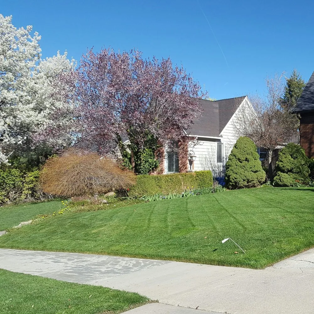 Top-rated yard cleanup service in Taylorsville, UT - Velasco Lawn Care and Maintenance