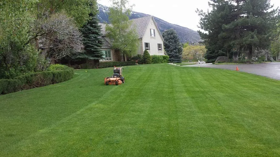 Reliable outdoor landscaping for homes across Taylorsville, UT - Velasco Lawn Care and Maintenance