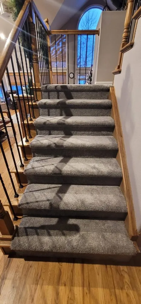 Trusted yard cleanup service in Colorado Springs, CO by Velasquez Custom Design