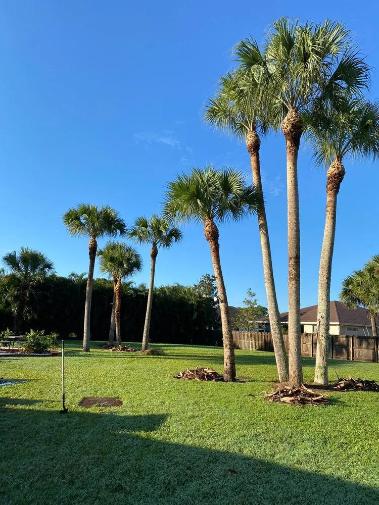 Custom outdoor landscaping for year-round maintenance in Stuart, FL by Velasquez Landscaping & Tree Service