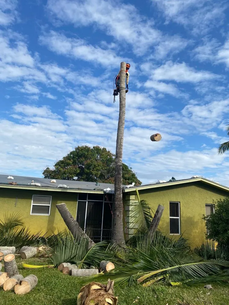 Professional yard cleanup service experts serving Stuart, FL - Velasquez Landscaping & Tree Service