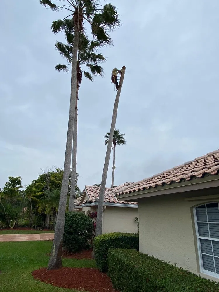 Reliable landscape design for year-round maintenance in Stuart, FL by Velasquez Landscaping & Tree Service