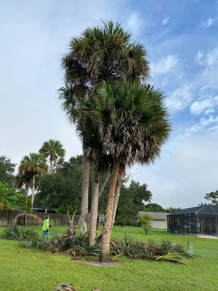 Top-rated garden landscaping for homes across Stuart, FL - Velasquez Landscaping & Tree Service