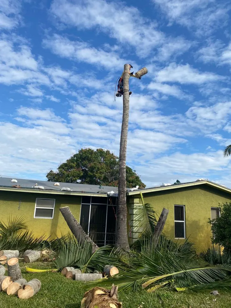 Affordable lawn care service in Stuart, FL by Velasquez Landscaping & Tree Service