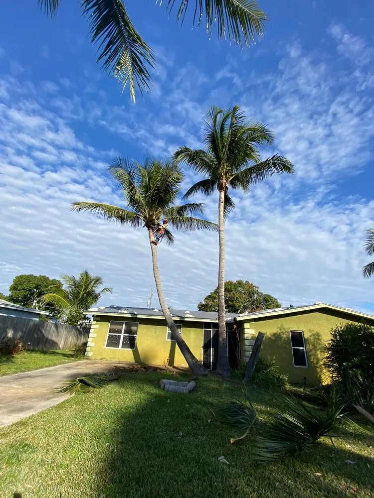 Custom outdoor landscaping in Stuart, FL - Velasquez Landscaping & Tree Service