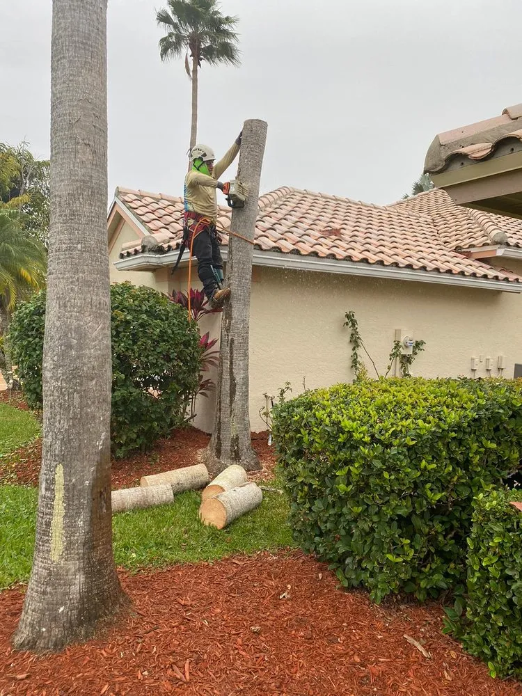 Custom garden landscaping in Stuart, FL - Velasquez Landscaping & Tree Service