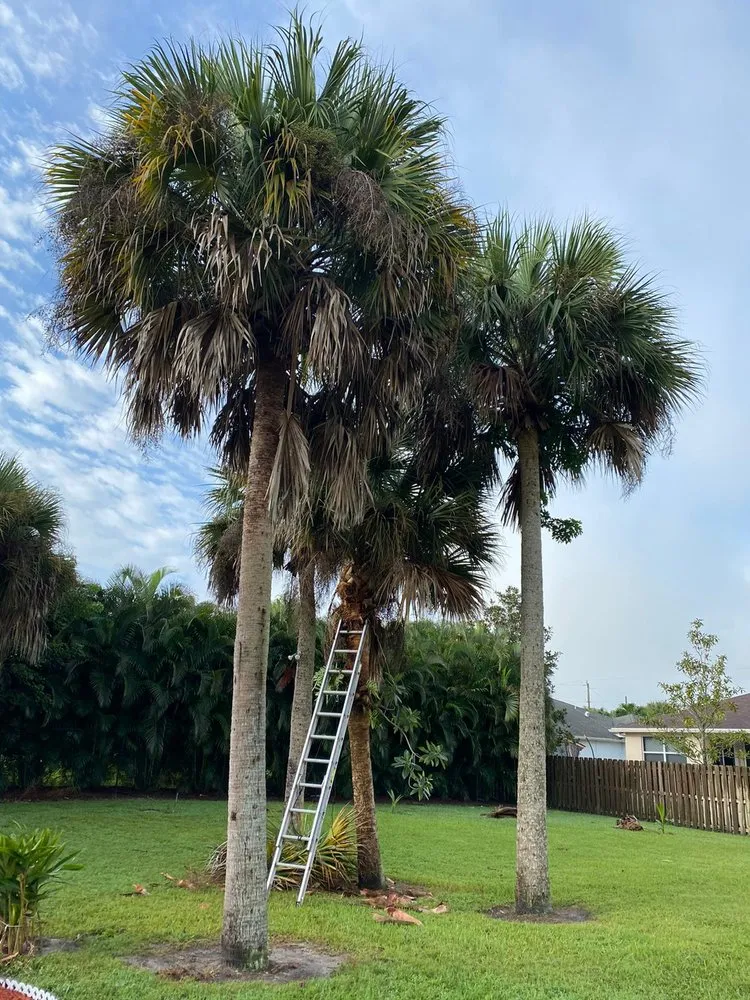 Top-rated landscape design in Stuart, FL by Velasquez Landscaping & Tree Service