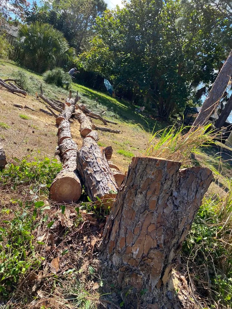 Reliable landscape design in Stuart, FL by Velasquez Landscaping & Tree Service