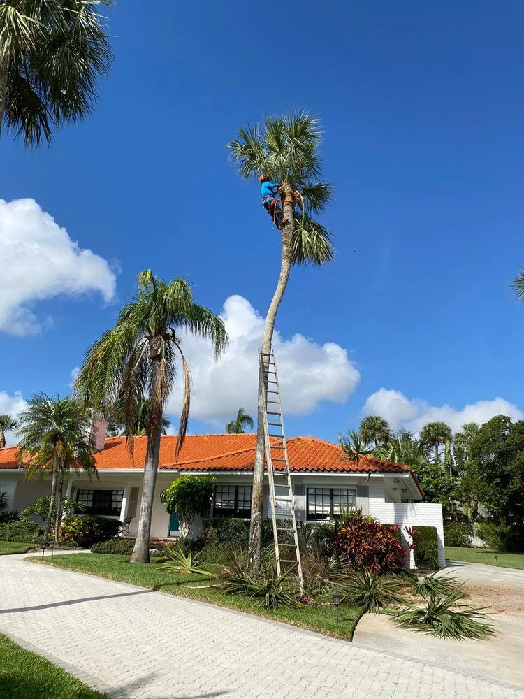 Local lawn care service in Stuart, FL - Velasquez Landscaping & Tree Service