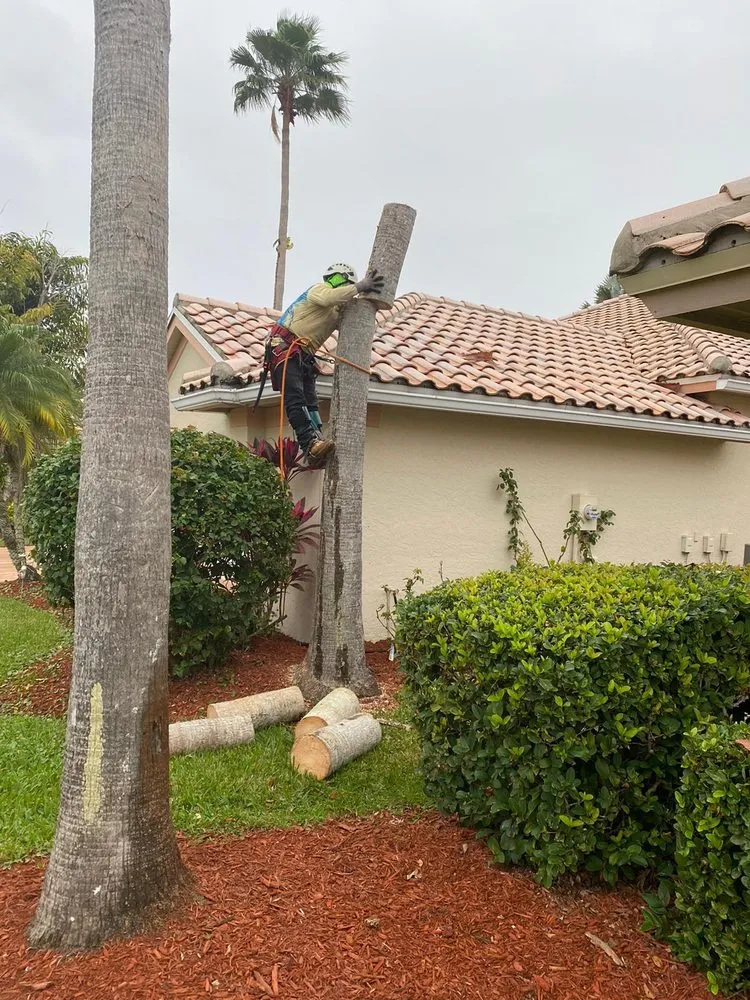 Trusted landscape installation experts serving Stuart, FL - Velasquez Landscaping & Tree Service