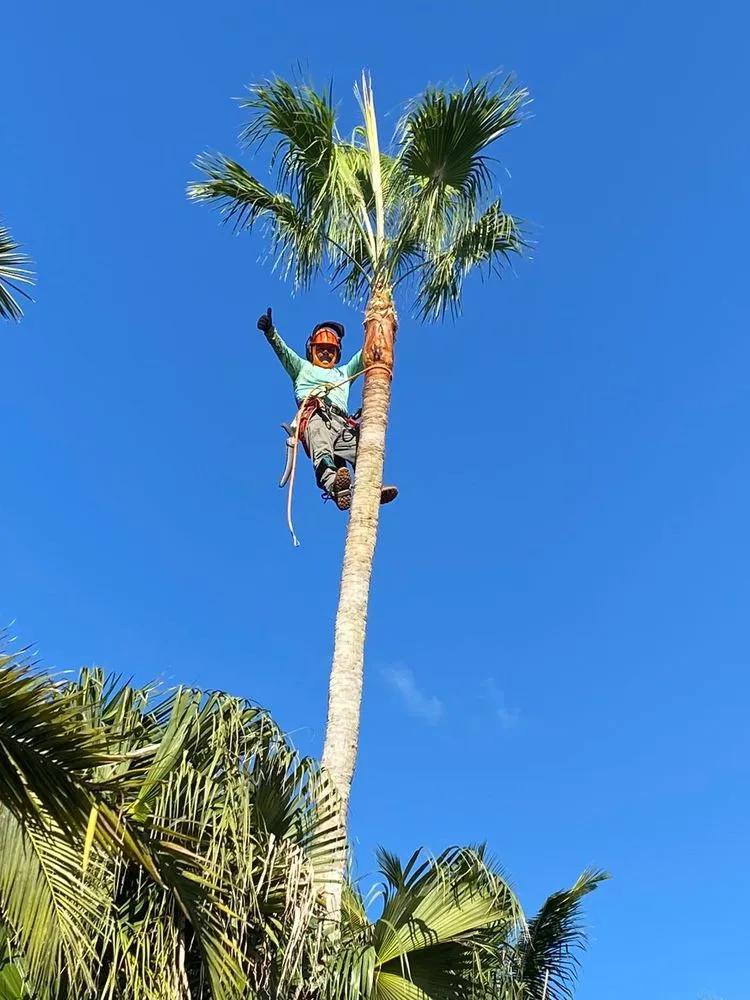 Local landscape installation for homes across Stuart, FL - Velasquez Landscaping & Tree Service