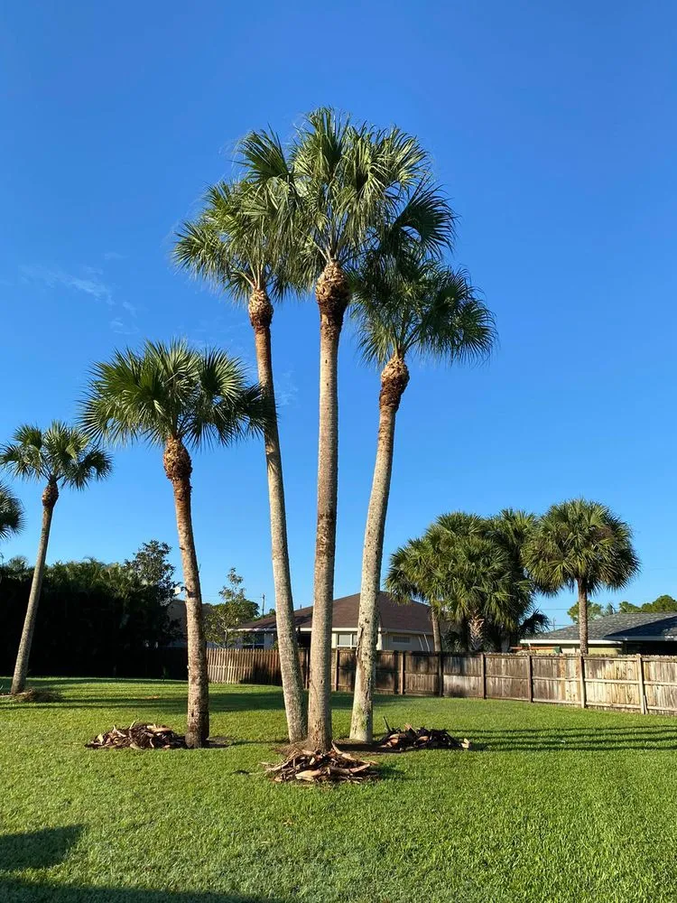 Affordable outdoor landscaping in Stuart, FL - Velasquez Landscaping & Tree Service