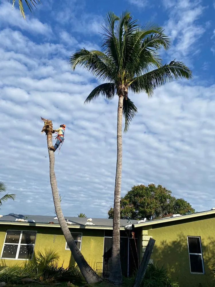 Expert outdoor landscaping near you in Stuart, FL by Velasquez Landscaping & Tree Service