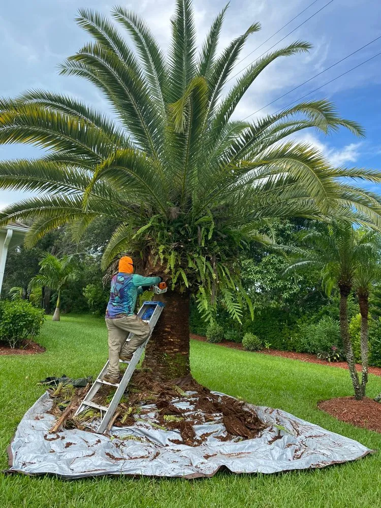 Professional yard cleanup service in Stuart, FL by Velasquez Landscaping & Tree Service