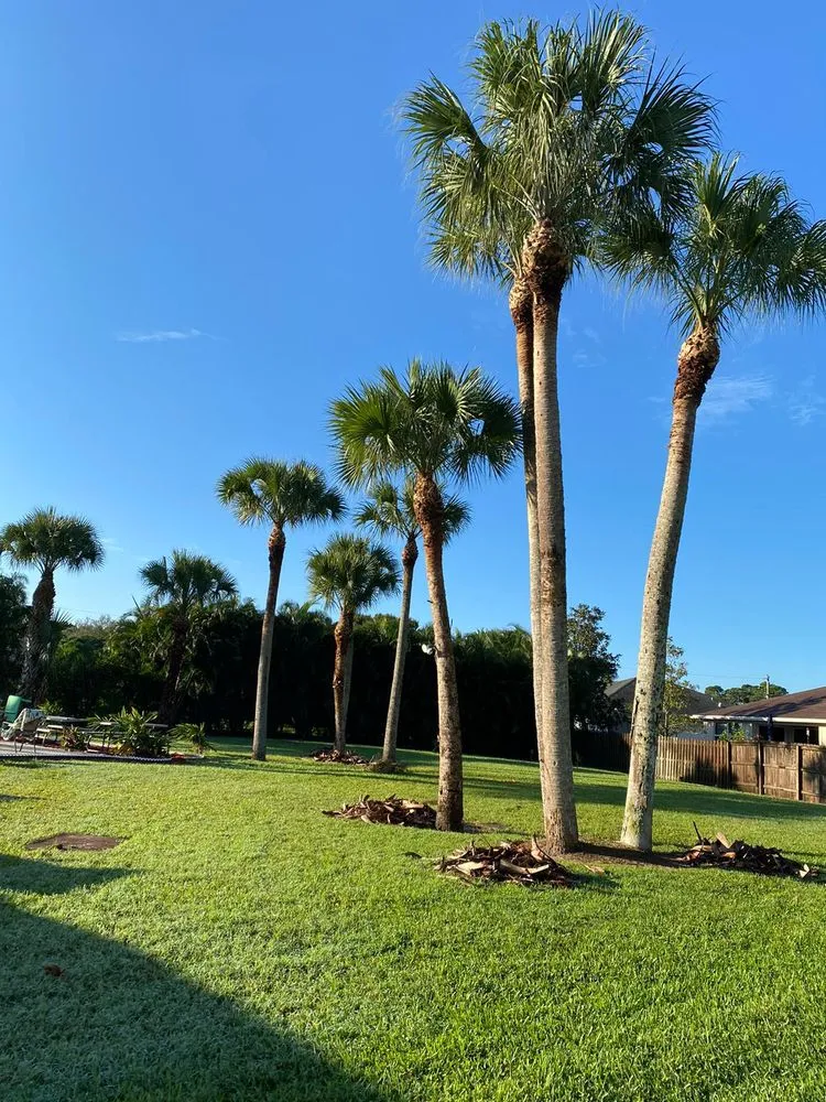 Affordable lawn care service in Stuart, FL - Velasquez Landscaping & Tree Service