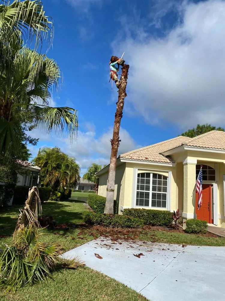 Local residential landscaping for residential properties in Stuart, FL by Velasquez Landscaping & Tree Service