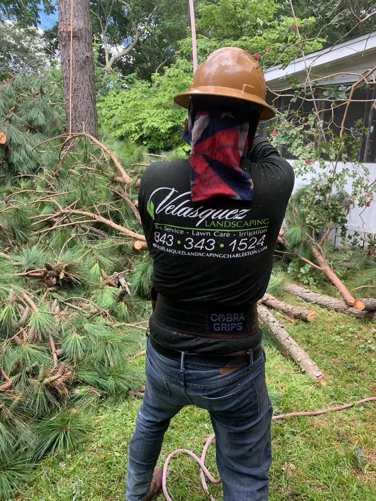 Affordable lawn care service near you in Johns Island, SC by Velasquez Landscaping and Tree Removal