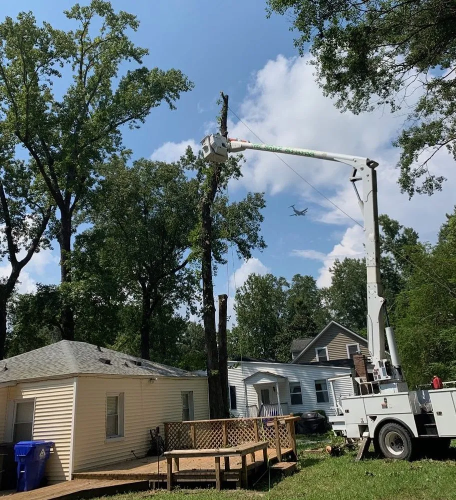 Reliable outdoor landscaping for year-round maintenance in Johns Island, SC by Velasquez Landscaping and Tree Removal