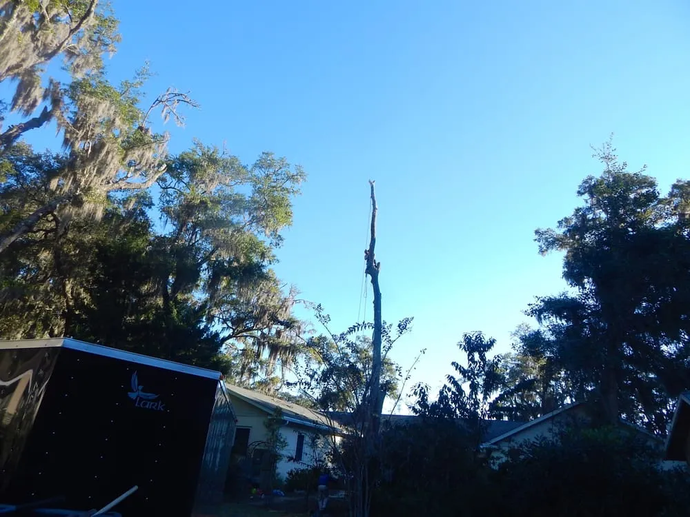 Affordable yard maintenance in Johns Island, SC by Velasquez Landscaping and Tree Removal