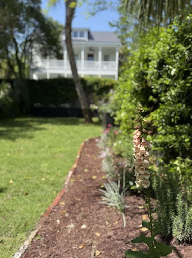 Expert lawn care service experts serving Johns Island, SC - Velasquez Landscaping and Tree Removal