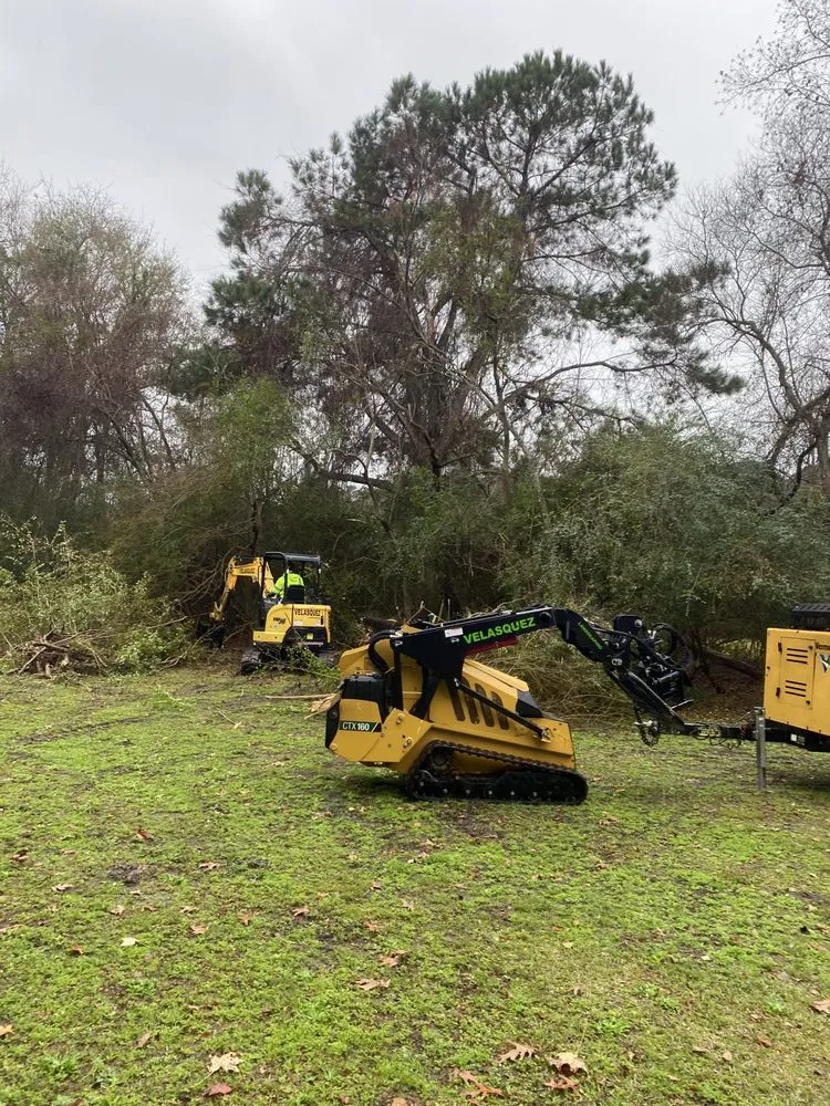Top-rated lawn care service in Johns Island, SC - Velasquez Landscaping and Tree Removal