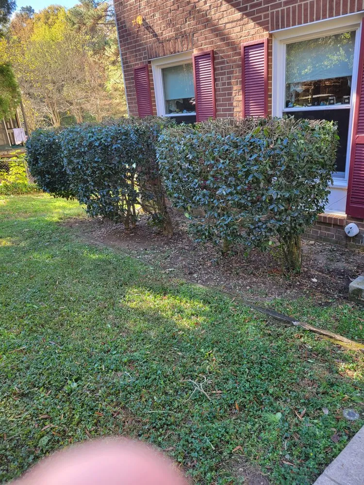 Expert landscape installation in Cary, NC by Velasquez Landscaping