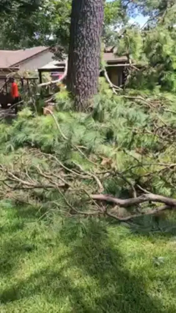 Top-rated residential landscaping for homes across Spring, TX - Velasquez Landscaping