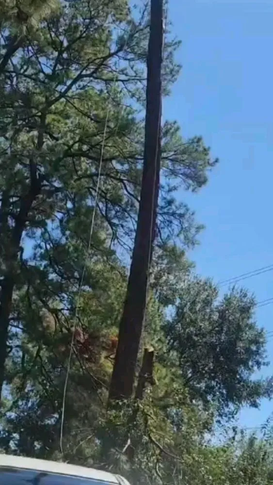 Trusted landscape design for outdoor upgrades in Spring, TX by Velasquez Landscaping