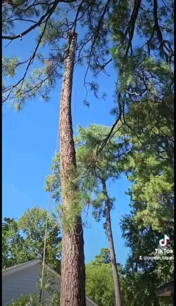 Local outdoor landscaping for year-round maintenance across Spring, TX - Velasquez Landscaping