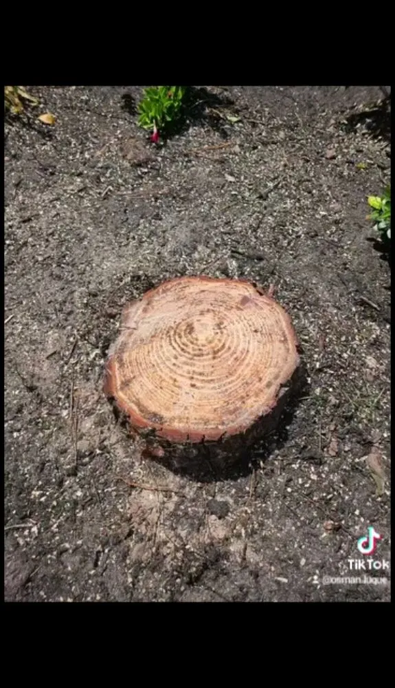 Professional landscape installation experts serving Spring, TX - Velasquez Landscaping