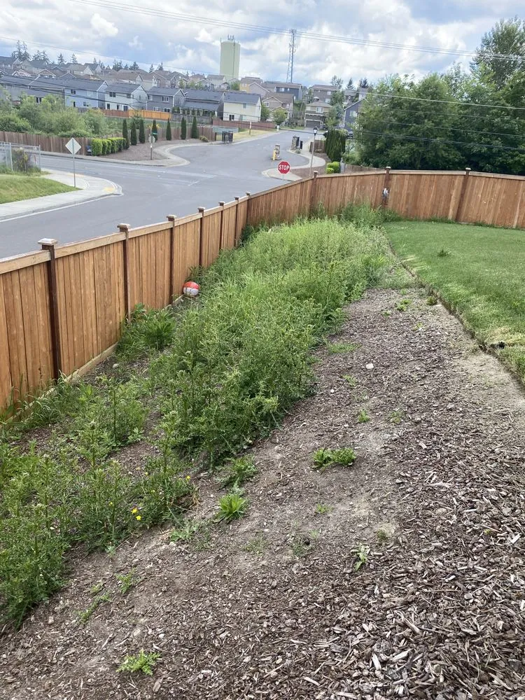 Reliable yard cleanup service in Tacoma, WA by Velasquez landscaping