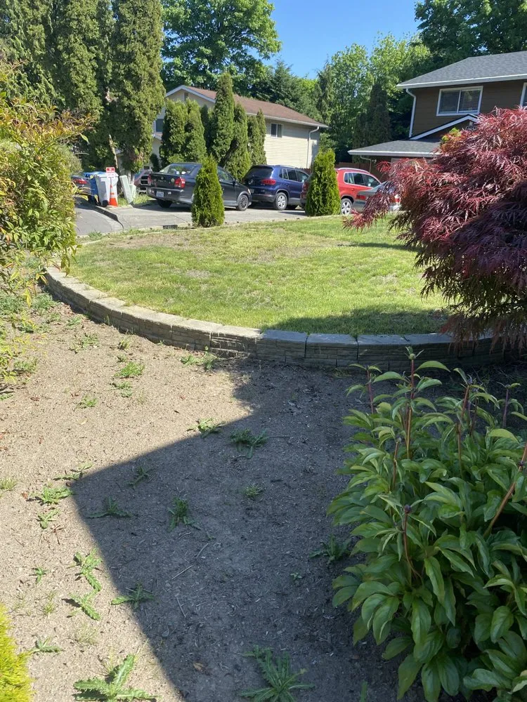 Reliable lawn mowing service in Tacoma, WA - Velasquez landscaping
