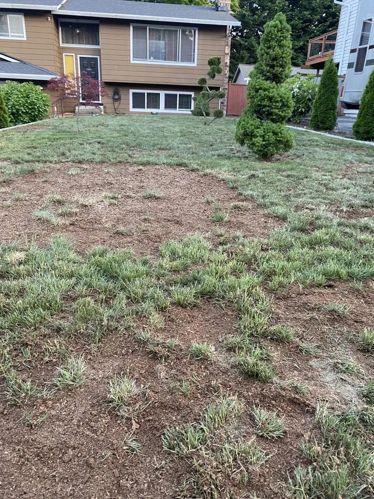 Reliable lawn care service experts serving Tacoma, WA - Velasquez landscaping