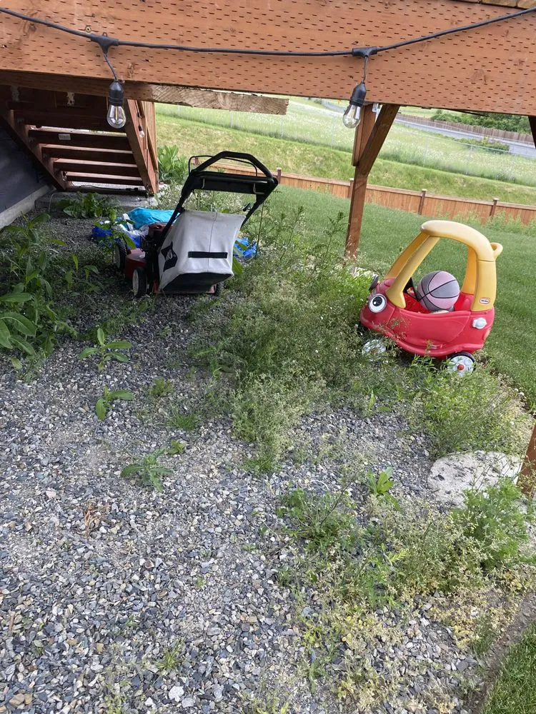 Top-rated garden landscaping experts serving Tacoma, WA - Velasquez landscaping