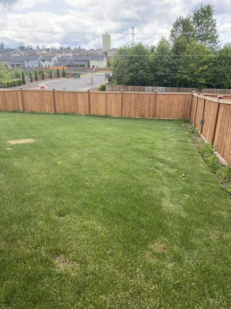 Expert yard cleanup service in Tacoma, WA by Velasquez landscaping