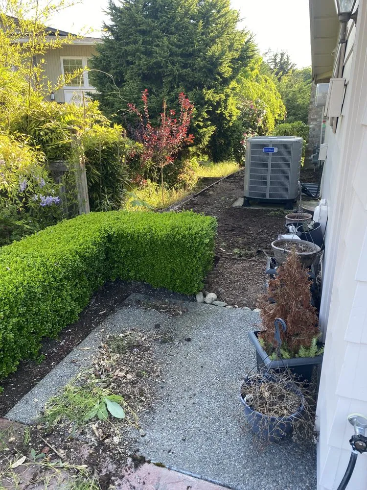 Top-rated lawn mowing service in Tacoma, WA - Velasquez landscaping