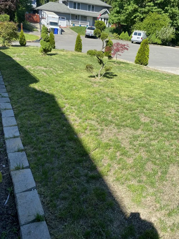 Top-rated residential landscaping for year-round maintenance in Tacoma, WA by Velasquez landscaping