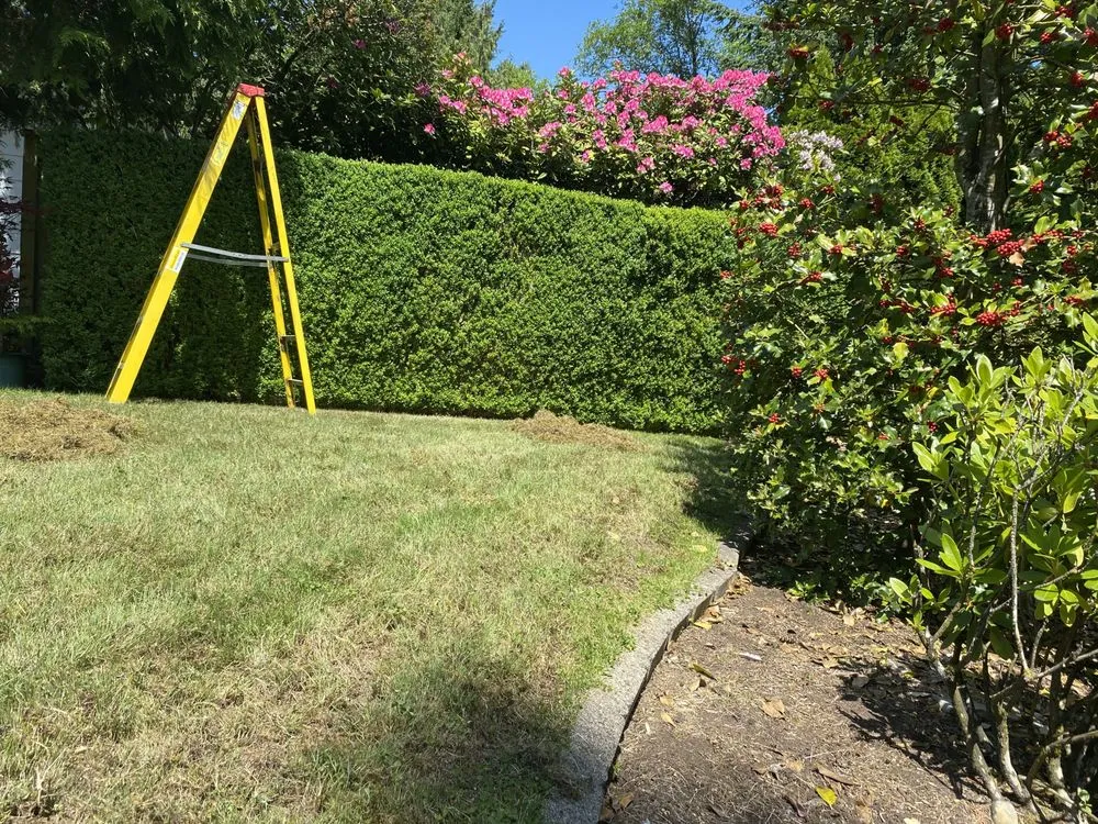 Custom landscape design in Tacoma, WA - Velasquez landscaping