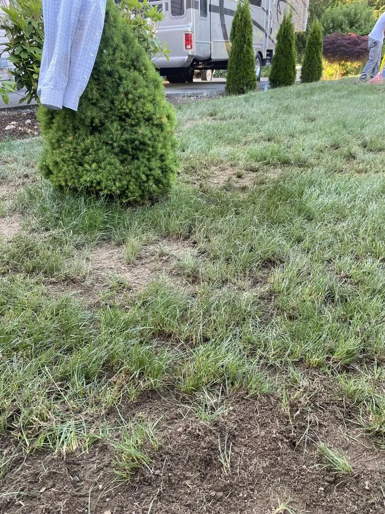 Expert outdoor landscaping for outdoor upgrades in Tacoma, WA by Velasquez landscaping